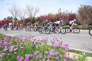娱乐游戏-2026年“北京世园公园杯”京张公路自行车公开赛举行|车队|体育局|延庆|北京市自行车运动协会|富士达车队_新浪新闻